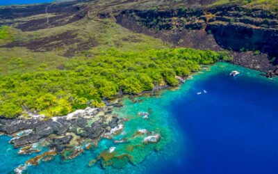 Snorkeling Kealakekua in Kona a Must-Visit